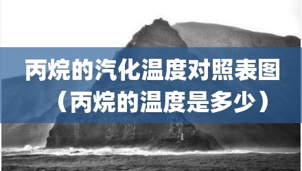 丙烷的汽化温度对照表图（丙烷的温度是多少）