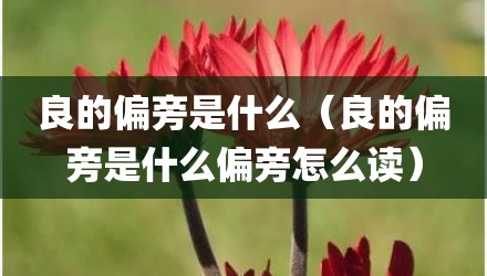 良的偏旁是什么（良的偏旁是什么偏旁怎么读）
