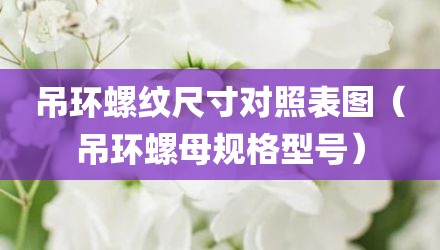吊环螺纹尺寸对照表图(吊环螺母规格型号)