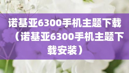 诺基亚6300手机主题下载（诺基亚6300手机主题下载安装）