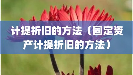 计提折旧的方法（固定资产计提折旧的方法）