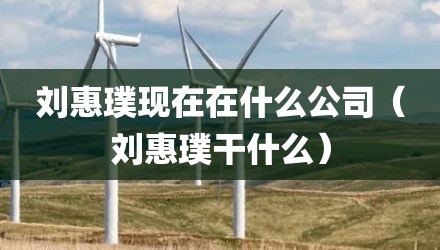 刘惠璞现在在什么公司（刘惠璞干什么）