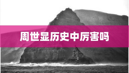 周世显历史中厉害吗
