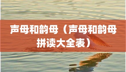 声母和韵母（声母和韵母拼读大全表）