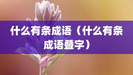 什么有条成语（什么有条成语叠字）