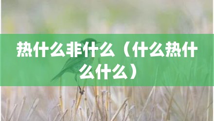 热什么非什么（什么热什么什么）