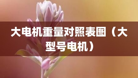 大电机重量对照表图（大型号电机）