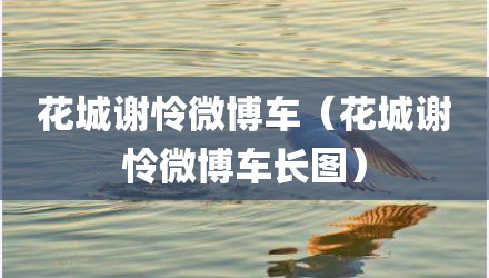 花城谢怜微博车（花城谢怜微博车长图）