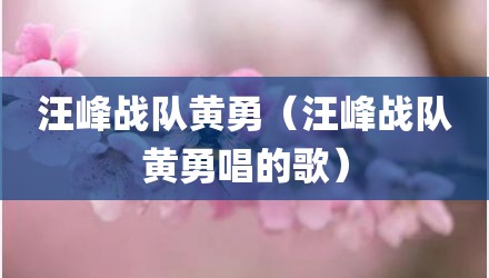 汪峰战队黄勇（汪峰战队黄勇唱的歌）