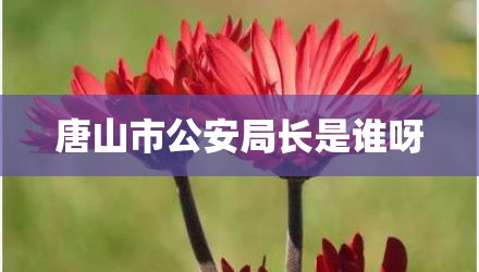 唐山市公安局长是谁呀