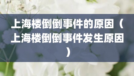上海楼倒倒事件的原因（上海楼倒倒事件发生原因）