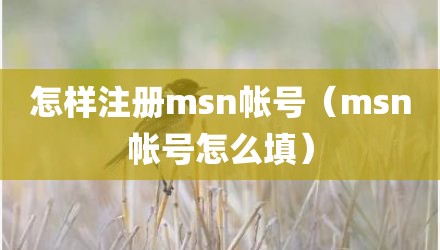 怎样注册msn帐号（msn帐号怎么填）