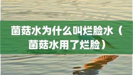 菌菇水为什么叫烂脸水（菌菇水用了烂脸）