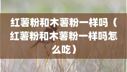红薯粉和木薯粉一样吗（红薯粉和木薯粉一样吗怎么吃）