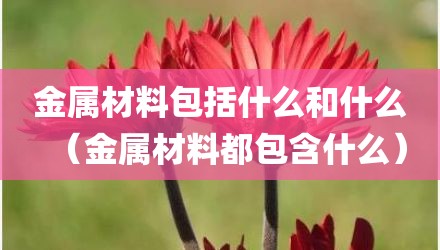 金属材料包括什么和什么（金属材料都包含什么）