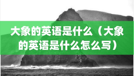 大象的英语是什么（大象的英语是什么怎么写）