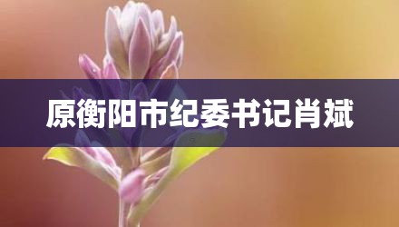 原衡阳市纪委书记肖斌