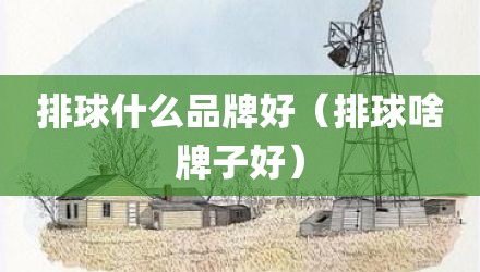 排球什么品牌好（排球啥牌子好）
