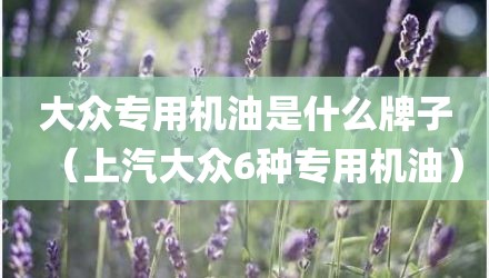 大众专用机油是什么牌子（上汽大众6种专用机油）