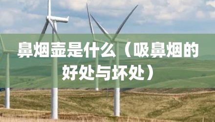 鼻烟壶是什么（吸鼻烟的好处与坏处）