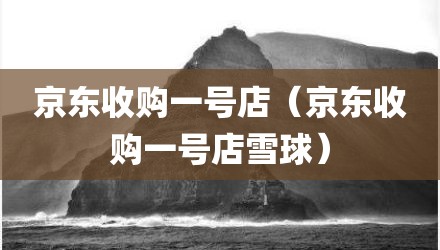 京东收购一号店（京东收购一号店雪球）