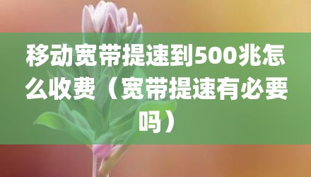 移动宽带提速到500兆怎么收费(宽带提速有必要吗)