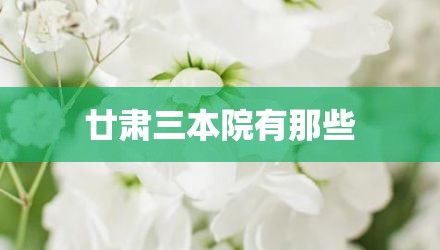 廿肃三本院有那些