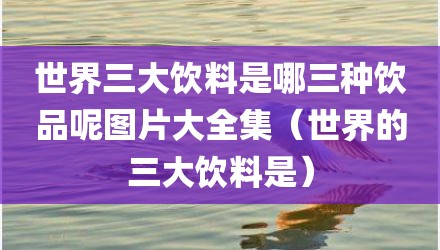 世界三大饮料是哪三种饮品呢图片大全集(世界的三大饮料是)