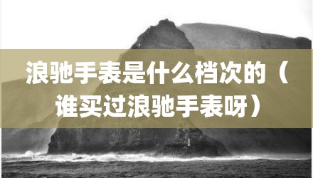 浪驰手表是什么档次的(谁买过浪驰手表呀)