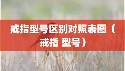 戒指型号区别对照表图（戒指 型号）