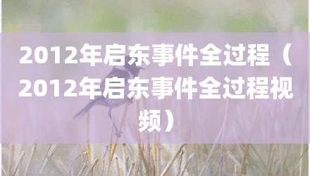 2012年启东事件全过程（2012年启东事件全过程视频）