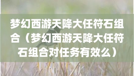 梦幻西游天降大任符石组合（梦幻西游天降大任符石组合对任务有效么）