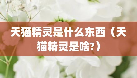 天猫精灵是什么东西（天猫精灵是啥?）