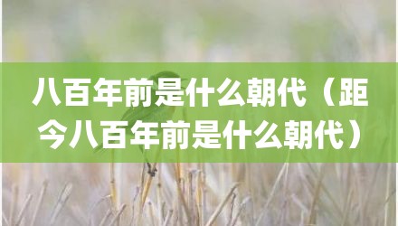 八百年前是什么朝代（距今八百年前是什么朝代）