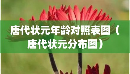 唐代状元年龄对照表图（唐代状元分布图）