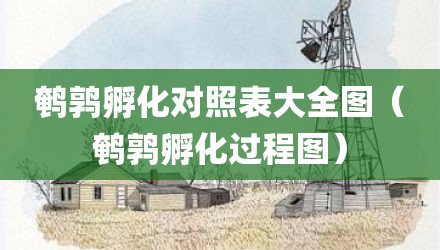 鹌鹑孵化对照表大全图（鹌鹑孵化过程图）