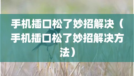 手机插口松了妙招解决（手机插口松了妙招解决方法）