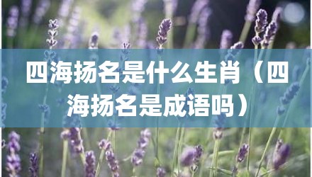 四海扬名是什么生肖（四海扬名是成语吗）