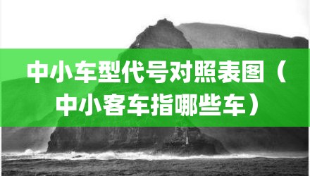中小车型代号对照表图（中小客车指哪些车）