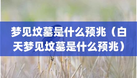 梦见坟墓是什么预兆（白天梦见坟墓是什么预兆）