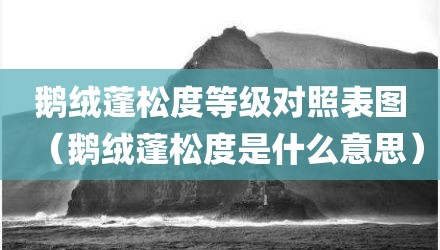 鹅绒蓬松度等级对照表图（鹅绒蓬松度是什么意思）
