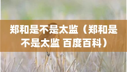 郑和是不是太监（郑和是不是太监 百度百科）