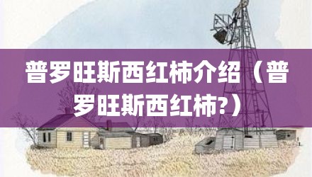 普罗旺斯西红柿介绍(普罗旺斯西红柿?)