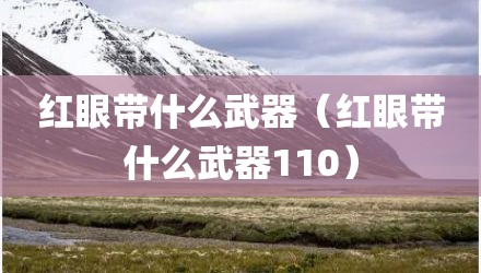 红眼带什么武器（红眼带什么武器110）