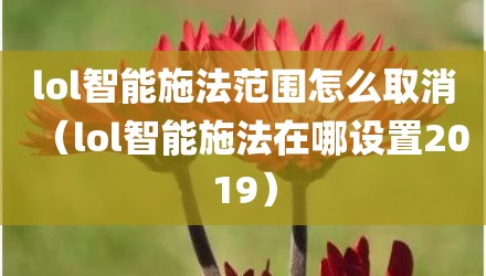 lol智能施法范围怎么取消(lol智能施法在哪设置2019)