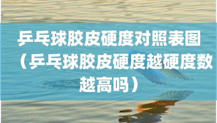 乒乓球胶皮硬度对照表图（乒乓球胶皮硬度越硬度数越高吗）