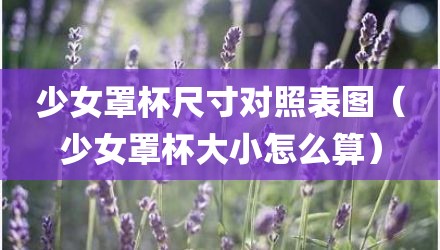 少女罩杯尺寸对照表图（少女罩杯大小怎么算）