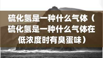 硫化氢是一种什么气体（硫化氢是一种什么气体在低浓度时有臭蛋味）