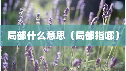 局部什么意思（局部指哪）