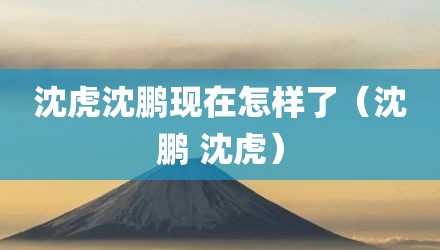 沈虎沈鹏现在怎样了(沈鹏 沈虎)